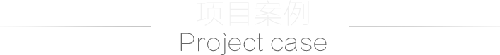 項目案例